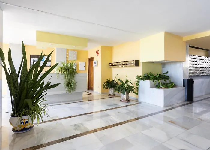 Eden Medano Surfstar Ocean First Line *